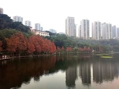 -重庆彩云湖湿地公园