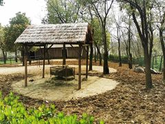 -合肥野生动物园