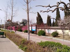 -四海蒸鲜蒸汽海鲜自助(北戴河店)