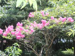 -庐山风景区花径公园