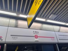 -大龙山(地铁站)
