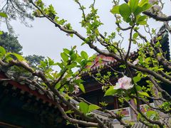 -颐和园