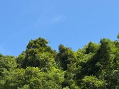 -百漈沟生态旅游景区