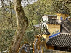 -涂山寺素食餐厅