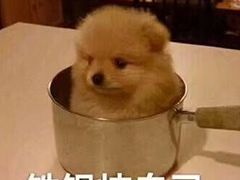 -托斯卡纳烘焙意大利餐厅(五天地店)