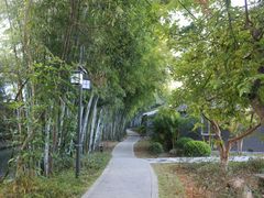 -林丰温泉度假山庄