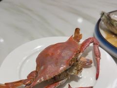 -子霖南山鲜虾面(南山总店)