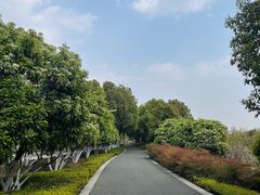 -皇粮浜湿地公园