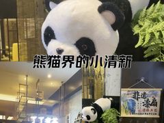 -茶去咖啡屋(武侯祠店)