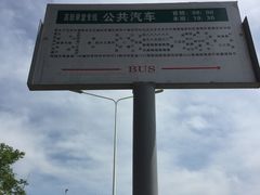 -洨河生态公园