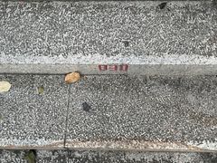 -板樟山森林公园