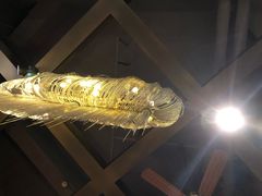 -玛格萝妮(汇智国际商业中心店)