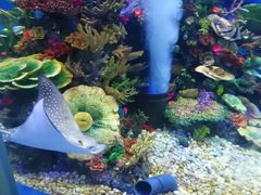 -成都浩海立方海洋公园