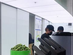 -introlemons(北京西单更新场店)