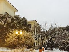 -上海虹桥迎宾馆