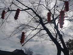 -黄龙溪古镇