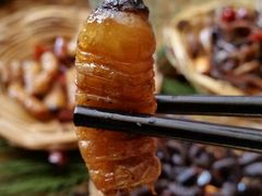 -昆虫窝子·特色云南菜(拓东路总店)
