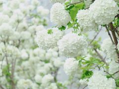 -大龙山(地铁站)