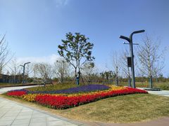 -上海滨江森林公园