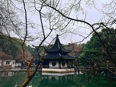 -西园戒幢律寺