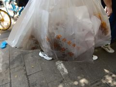 -家阳赵师傅油饼包烧麦(粮道街店)