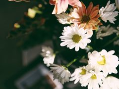 -隹木咖啡馆(宝龙广场店)