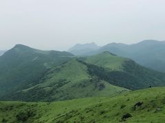 -大姆山草场