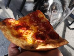 -Tubestation站点比萨(五道营店)