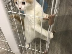 -白衬衫照相馆(五彩店)