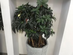 -痘院长·祛痘·科技美肤