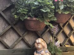 -萤火虫咖啡(砖著店)