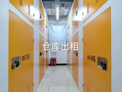 -安东易迷你自助仓储寄存仓库(草桥店)