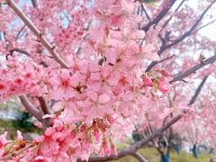 -龟山风景区-龟山电视塔