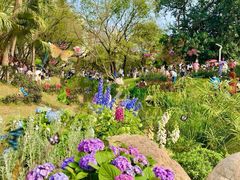 -人民公园(罗湖区)