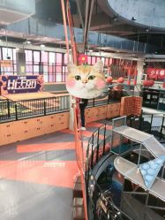 -嗨翻Hi-Fun竞技主题乐园·蹦床团建生日聚会(五棵松华熙店)