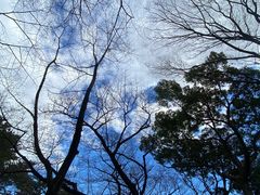 -名古屋城