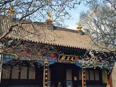 -护国法轮寺