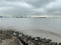 -上海滨江森林公园