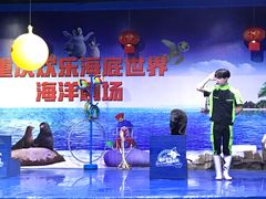 -重庆欢乐海底世界