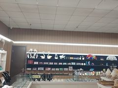 -青岛贝壳博物馆