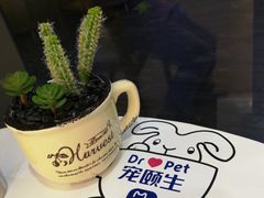 -瑞鹏宠物医院·眼科·皮肤·中兽医(大悦城分院)