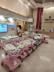 -生命加•Q考拉月子会所(玫瑰园店)