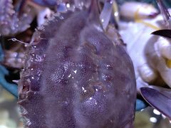 -聚盛源蒸汽海鲜火锅烤肉自助(巨川金海岸购物广场店)