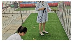 -萌宠亲子动物乐园(槐房万达店)