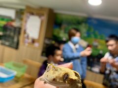 -藦茜花园宠物主题亲子互动体验馆(国顺东路店)