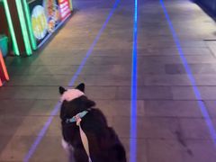 -鸿恩陶然大观园