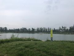 -白鹭湾湿地公园