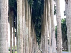 -南宁花花大世界景区