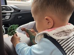 -辽宁古生物博物馆