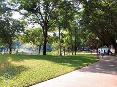 -晓港公园
